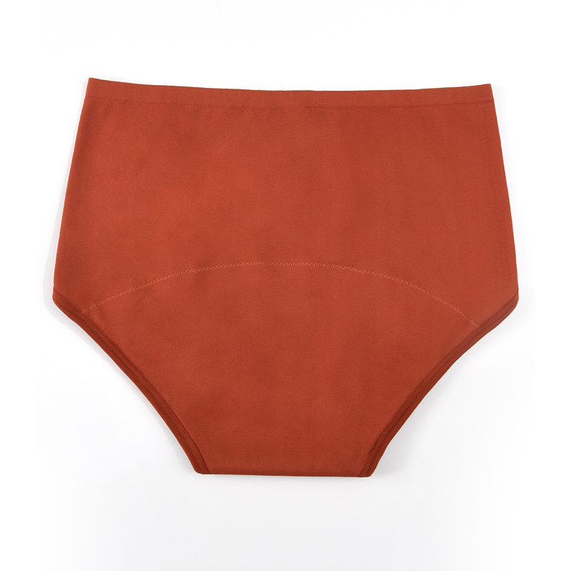 Culottes menstruelles sans cou - Period Panty Absorbent avis et prix
