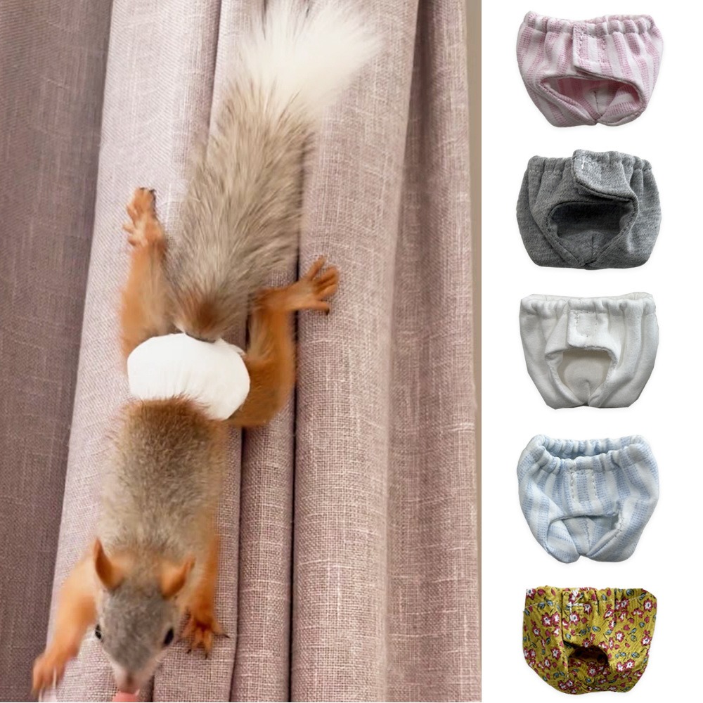 Couches absorbantes pour écure - Period Panty Absorbent avis et prix